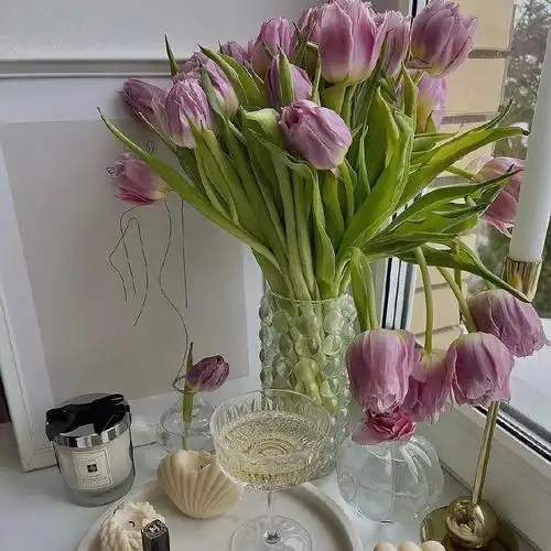 背景图壁纸郁金香花束ins高级感