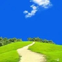 绿色意境唯美图片头像 绿色系护眼系列_微信头像图片大全