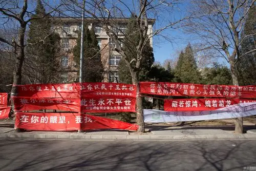 三七女生节有爱横幅集锦