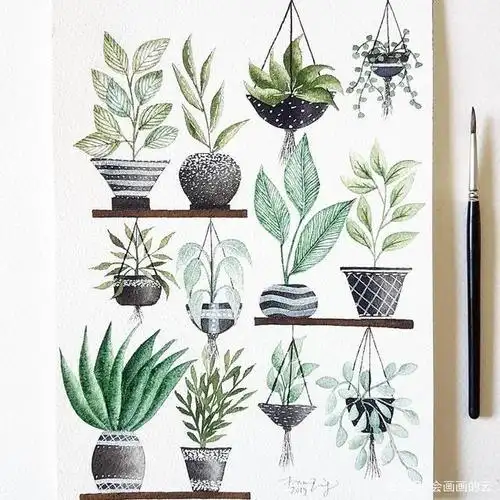 花卉植物ins:lettersoflovebyjo