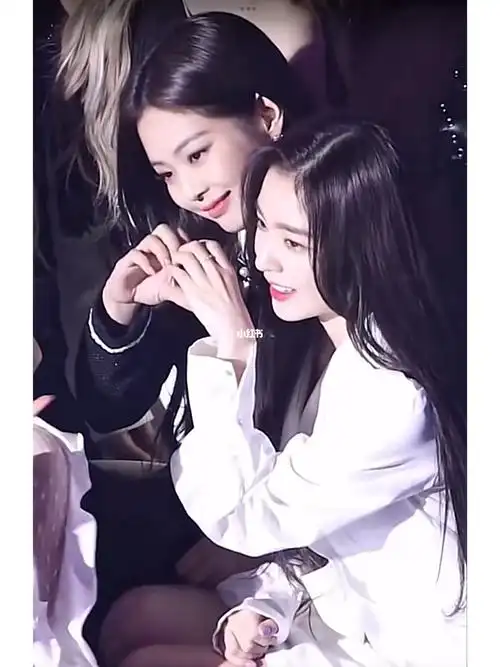 jennie金珍妮  #irene裴珠泫  #美女