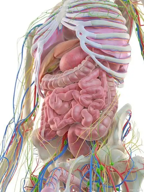 消化道肿瘤引起的腹胀怎么办,三甲医院吴瑞桥医生给你一个小建议