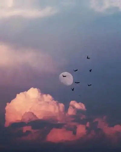 gif输入法皮肤 - 堆糖,美图壁纸兴趣社区