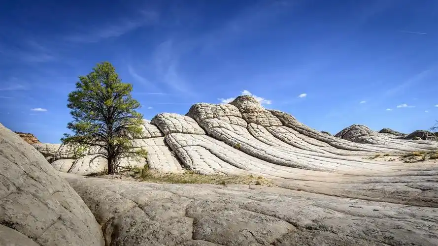 岩石,山,树,蓝色的天空,自然 壁纸