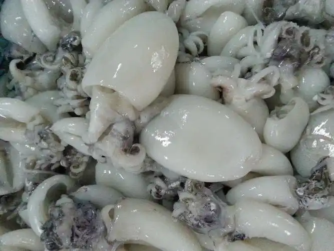 船奇水产野生新鲜墨鱼鲜活小墨鱼仔 海鲜 小乌贼北海墨鱼250g/份