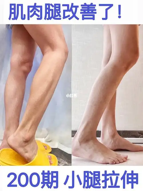 导致肌肉发达正确的拉伸美化腿部线条 让小腿越来越好看关键这个时间