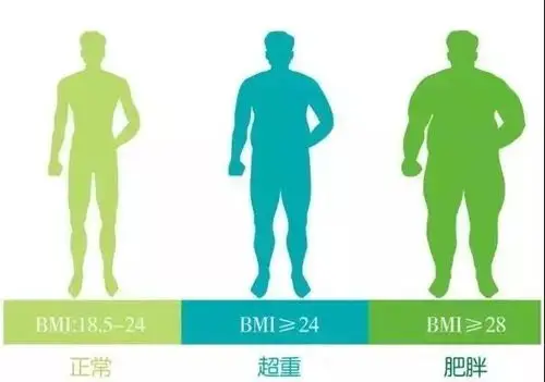 男性体脂率>25%,女性体脂率>30%
