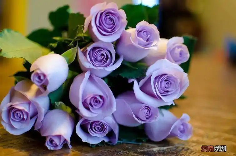 七夕过了还有情人节