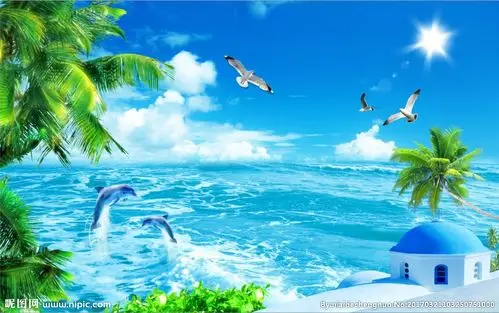 海景椰子树图片