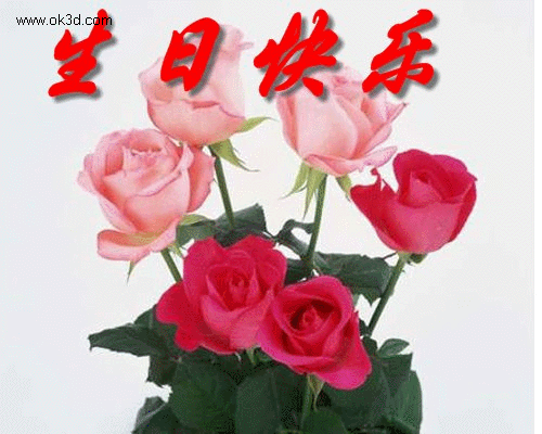 原创诗歌:《感动》《生日快乐》