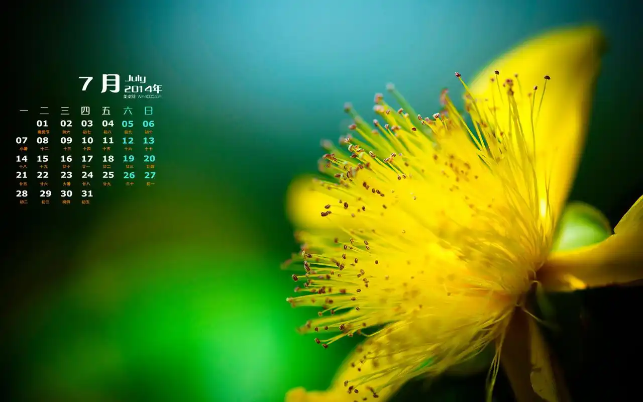 2014年7月日历桌面壁纸清新养眼的美丽花卉