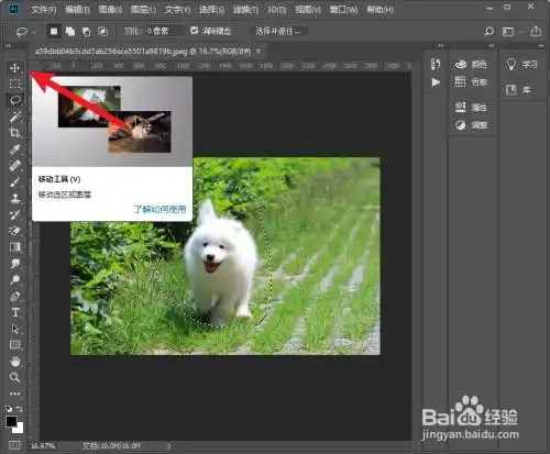 ps套索工具怎么抠图后移动到其他位置
