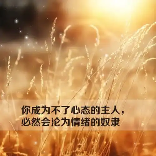 唯美图片带字伤感意境lomo美图