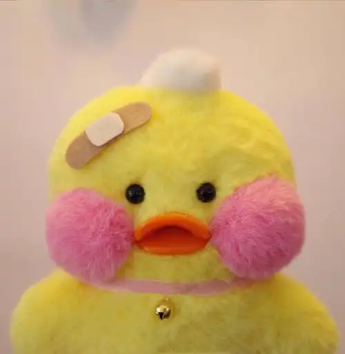 小鸭子情侣头像来自ins侵删