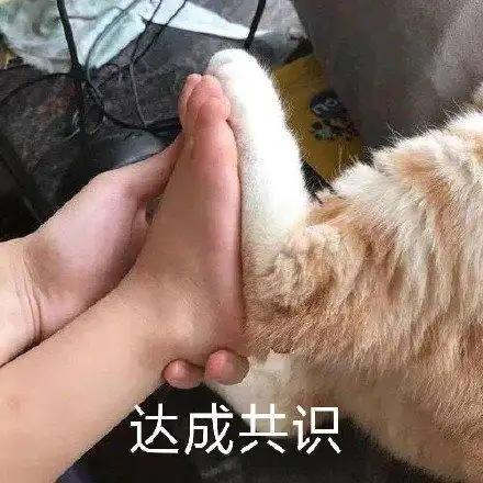 达成共识(猫爪)_猫爪_共识_达成表情