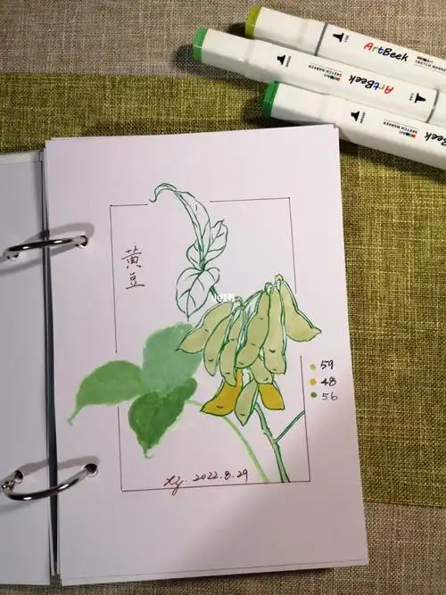 九九果香马克笔上色3黄豆