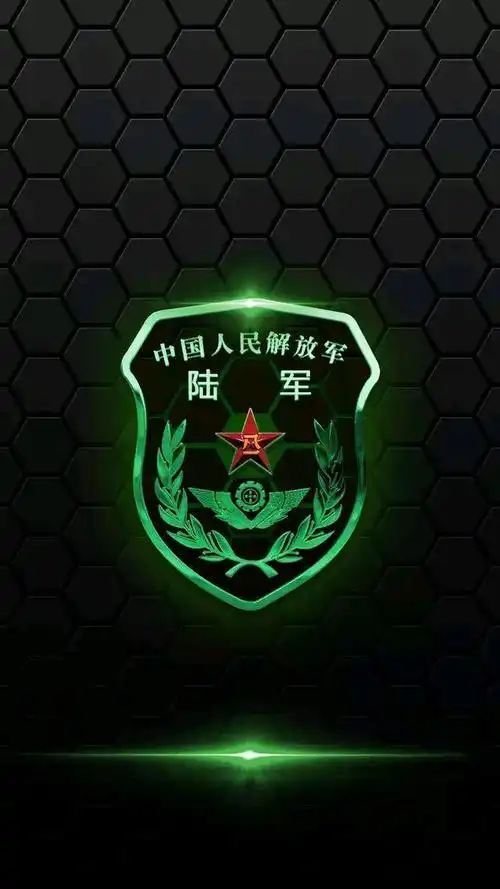 热血壁纸 军迷必备 臂章大全