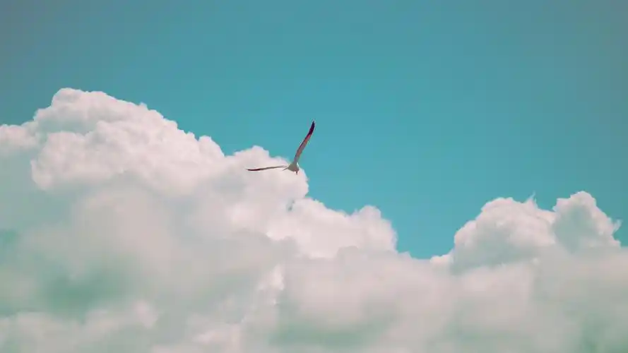 360护眼壁纸图片(360护眼壁纸在哪个文件夹)_友友