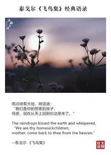 【英语美句】泰戈尔《飞鸟集》经典语录