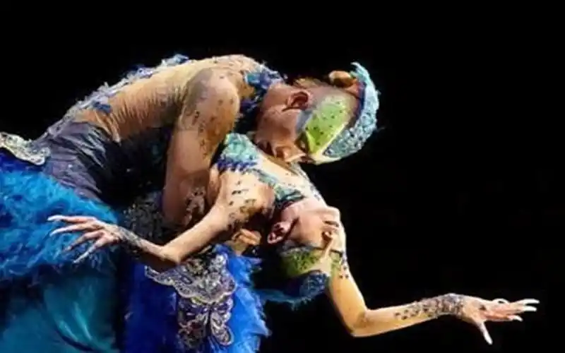 杨丽萍和男徒弟跳舞太投入惹争议,当镜头拉近后,网友:难以接受