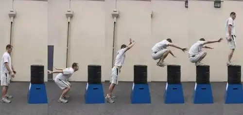 plyometrics超等长收缩训练