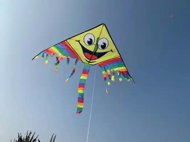 春天第一波风筝09起飞啦