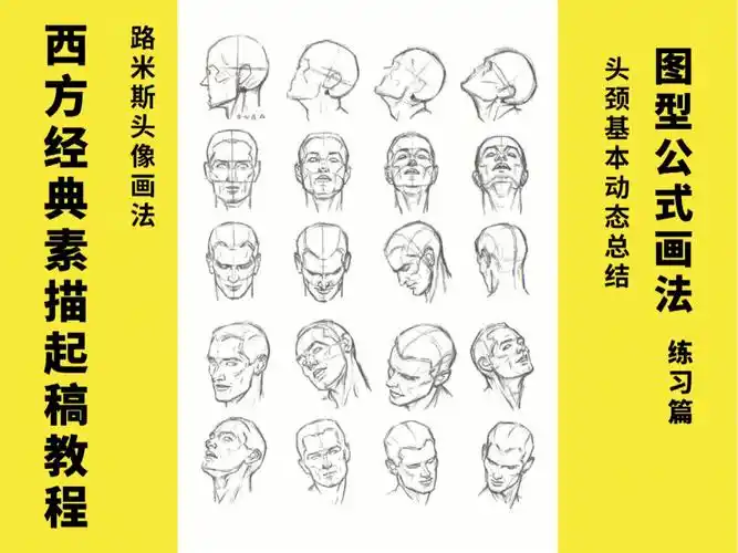 图型公式画法头像起稿头颈动态默画速写
