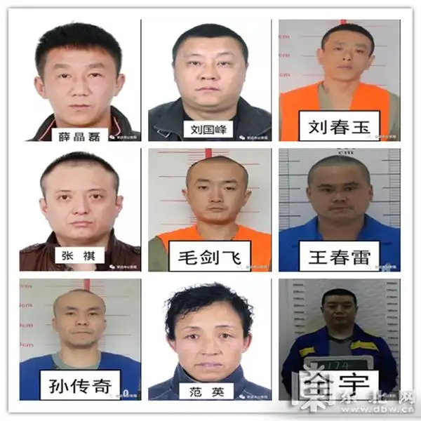 讯 (记者 赵红星)近日,安达市公安局"501"专案组发布公告公开征集范玉