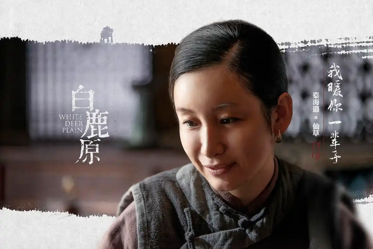 秦海璐生产后第一部戏《白鹿原》,演绎出不一样的"仙草"