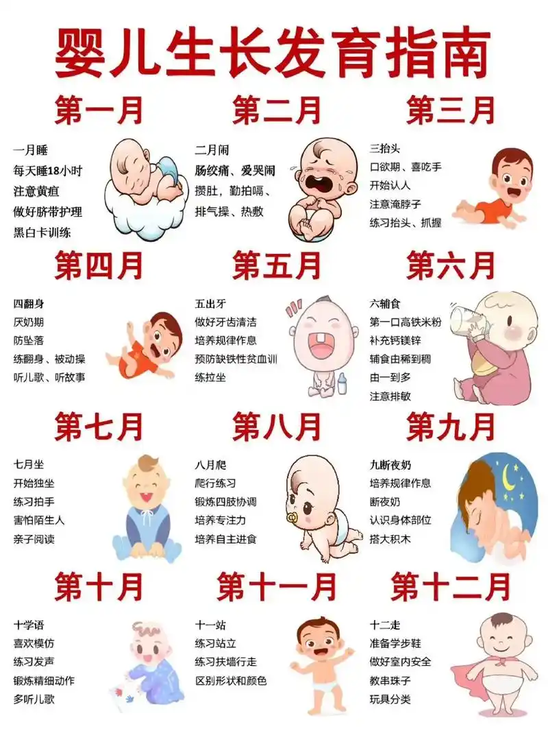 人类幼崽生长发育指南.