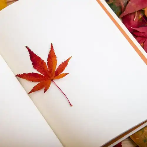 适合心情低落时发朋友圈的句子心情低落时的伤感说说