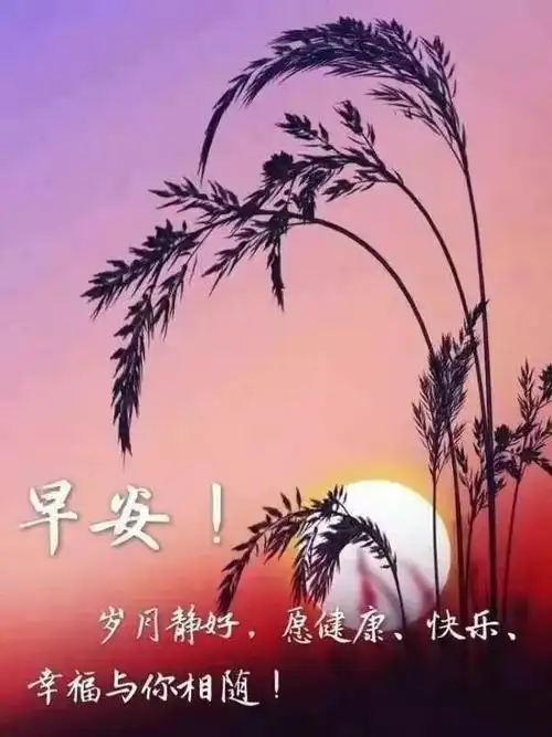 上午好图片带字温馨上午好动画表情图片集