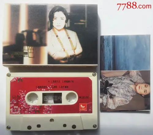 陈盈洁-海海人生