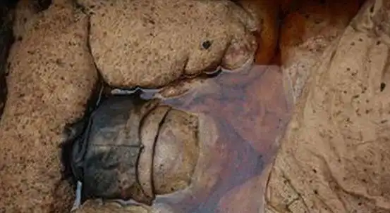 古代容貌清晰可见的不腐女尸江苏泰州明代不腐女尸图片