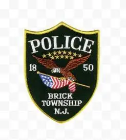 雄伟的警徽图标背景