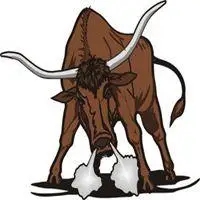 牛头像图片大全可爱_微信头像图片大全