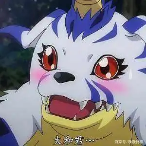 数码宝贝:第一部8只数码宝贝各是怎样的性格?迪路兽又萌又成熟