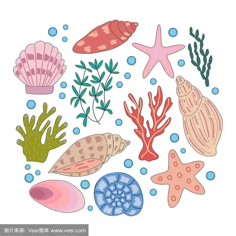 式样,矢量,绘画插图,珊瑚,卡通