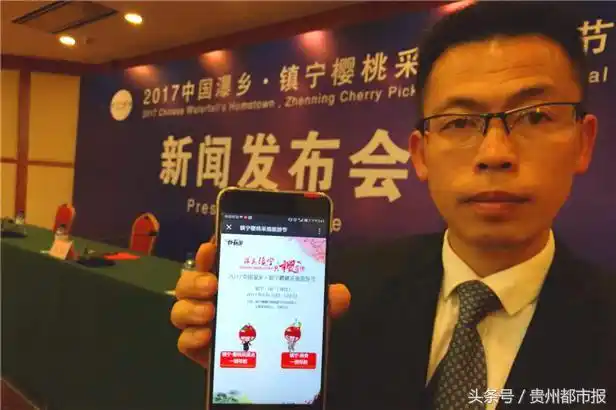 "甜得像初恋"!4月20日镇宁樱桃开摘啦