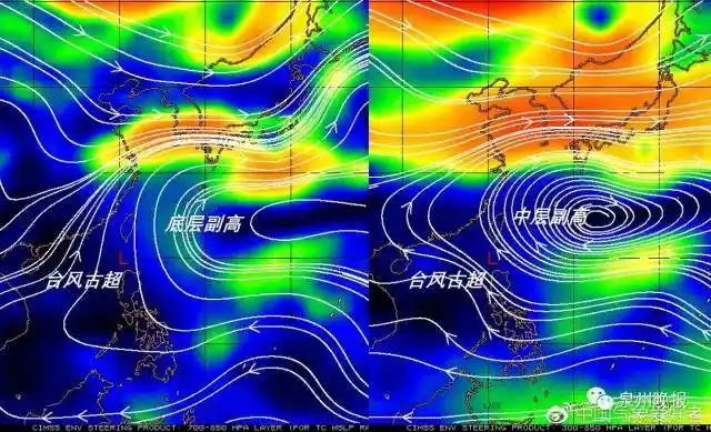 晋江人注意!17号台风"古超"生成,向闽南沿海靠近,或于明日登陆福建!