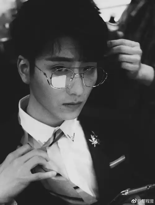 这颗蔡…真…行(mxh连续剧之蔡程欲舞动奇迹