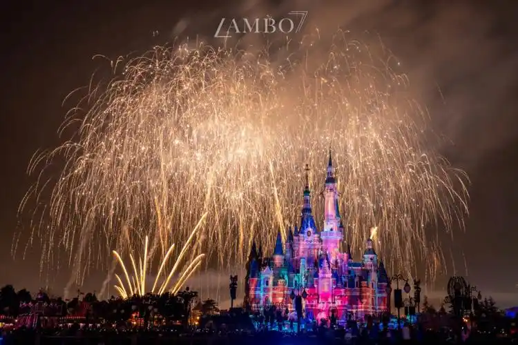 迪士尼新春烟花属于你的家