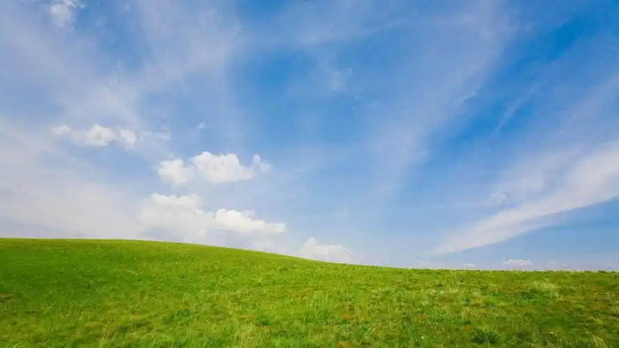 清新绿色护眼蓝天草地桌面壁纸下载 第一辑
