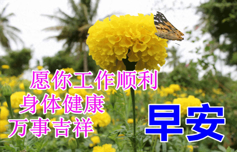 2021早上好动态祝福图片问候朋友秋季早安的祝福句子