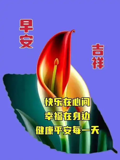 今日最新早安早上好精选,相互牵挂,祝福无价_生活_问候_身体