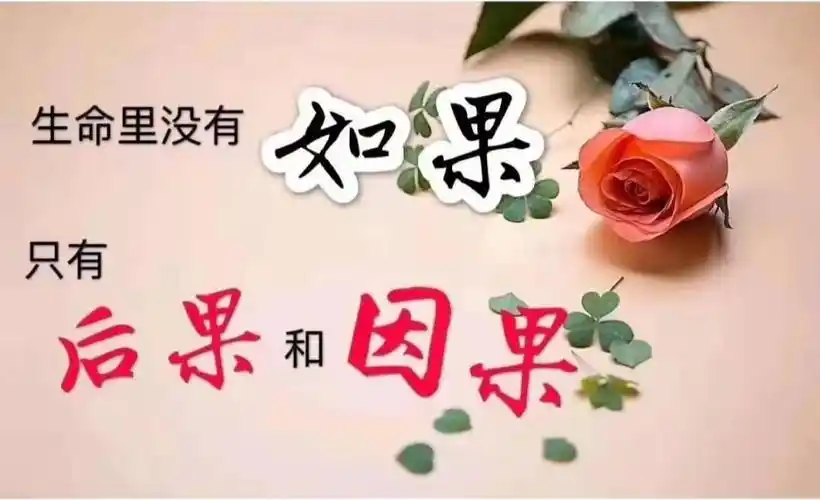 明白了前世因果,什么都风轻云淡