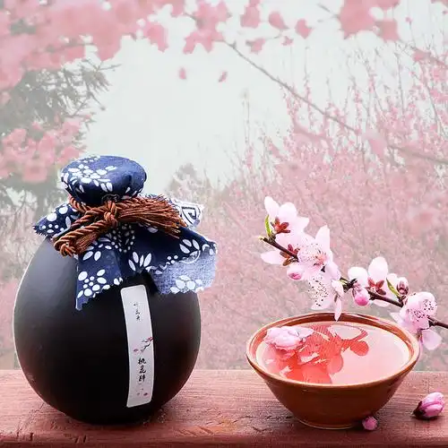 三生三世桃花醉桃花酒桃花酿花果味酒糯米酒甜酒买2减5元送酒杯