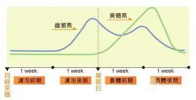 远离:含有雌孕激素制品,食品,补品