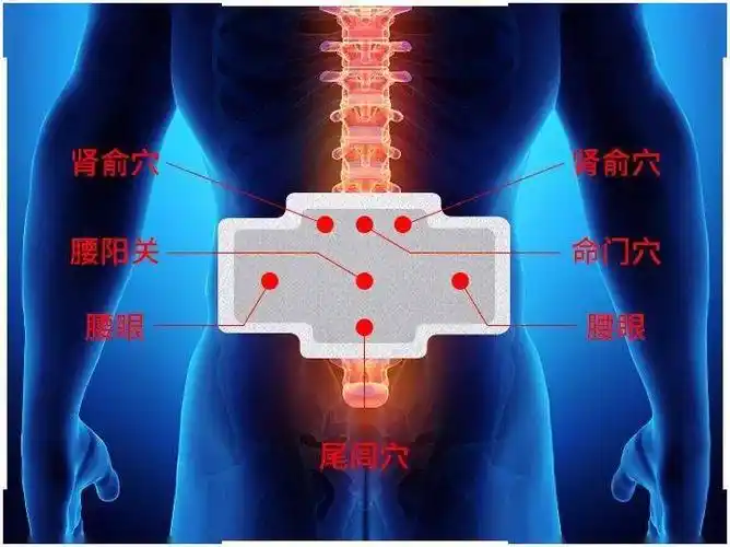 腰突腰肌劳损风湿性腰痛找准一个穴位每天一贴贴出铁