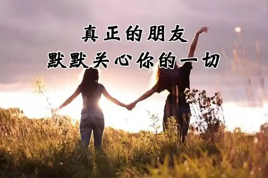 真情谊风雨同行感谢陪我一路走来的朋友们